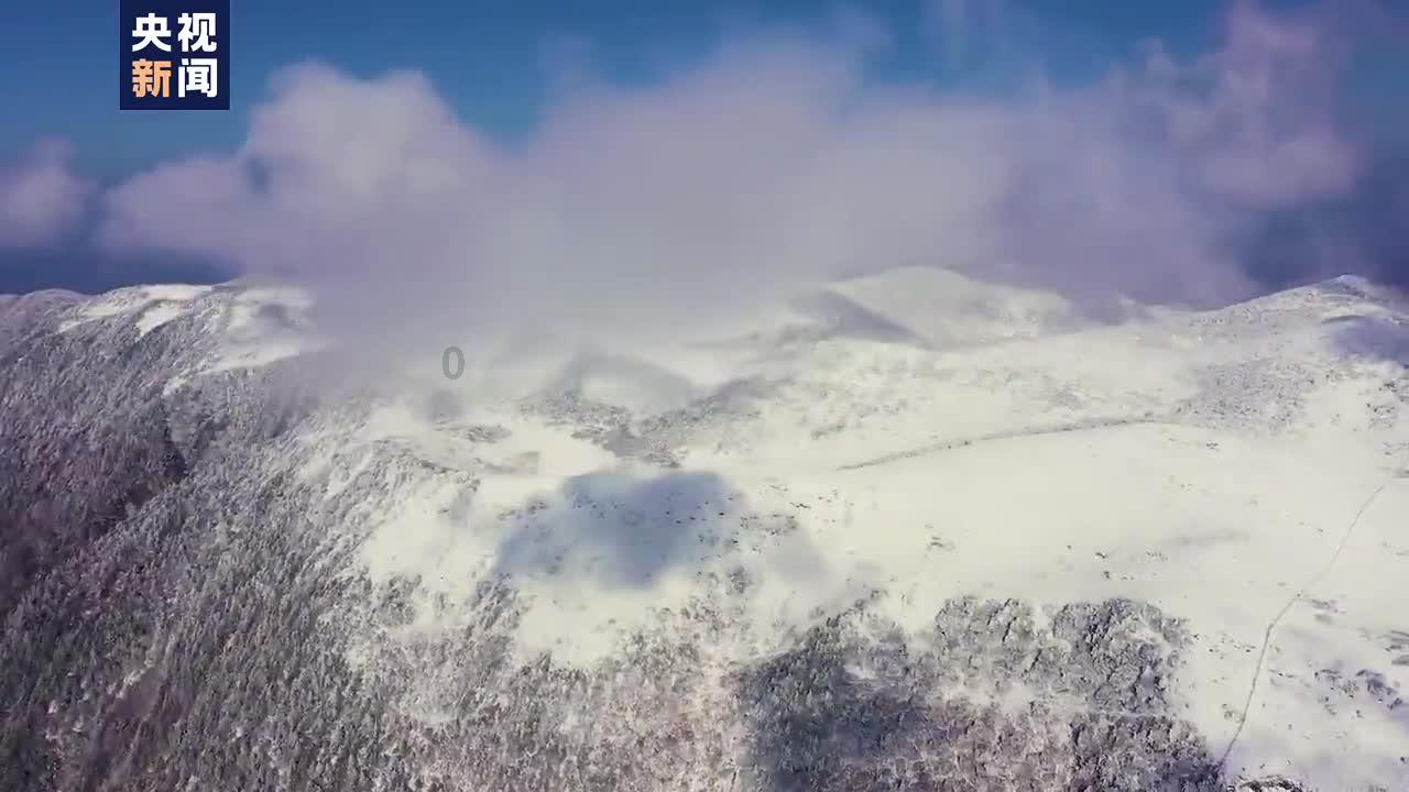 这个背影给人感觉?- 专业有问必答平台